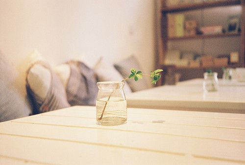那雨伞下的衣袖 那等答案的面孔