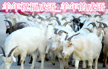 羊年祝福成语