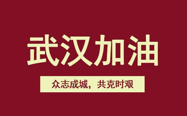 抗击肺炎疫情致敬逆行者的心得感想5篇