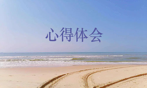张桂梅先进事迹个人心得感悟