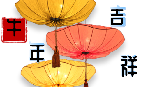 2021年过年中国人的集体记忆个人作文征文