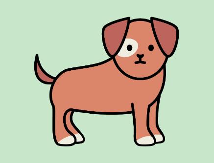 养柯基犬的注意事项有哪些