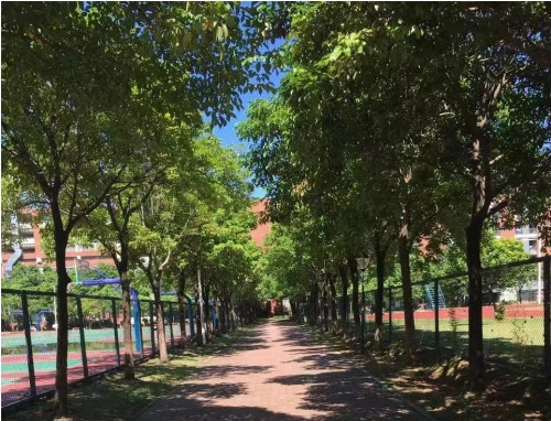 夏至唯美短句220句