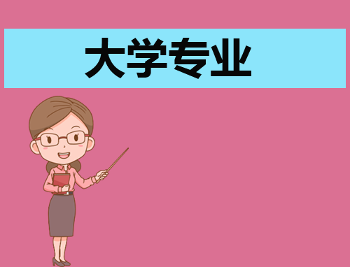 专业创新总结报告