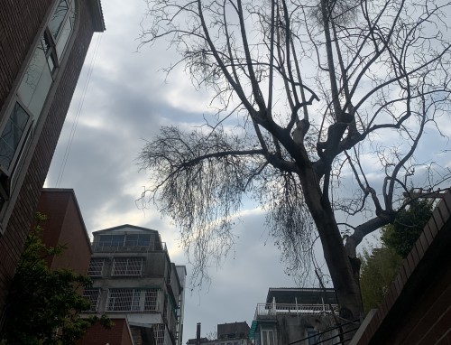 生活不容易的心累经典句子